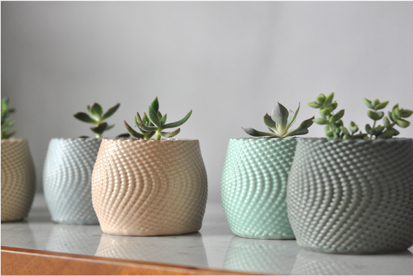 Succulent Planters - Clay (600x600), Png Download