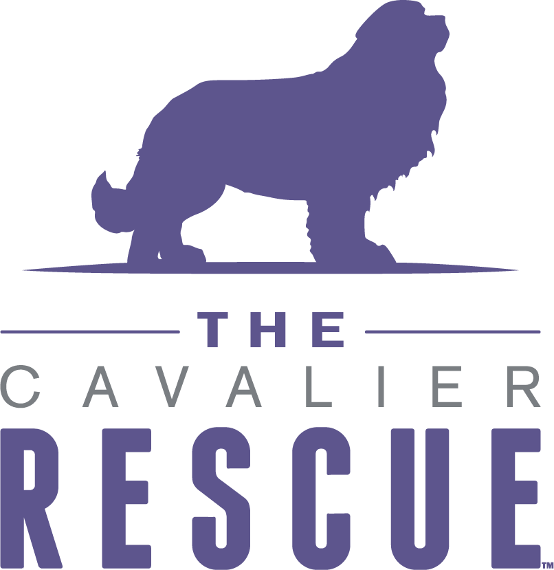 Derbyshire (806x829), Png Download