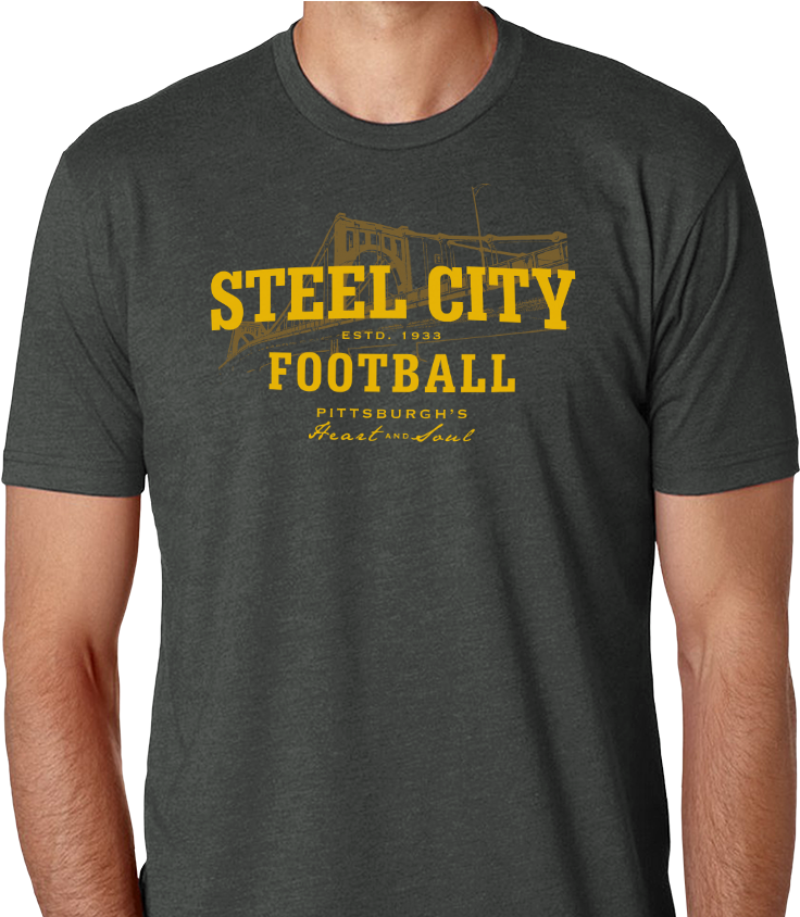 4, Shirt - Flat Earth Solar System Shirt (900x843), Png Download