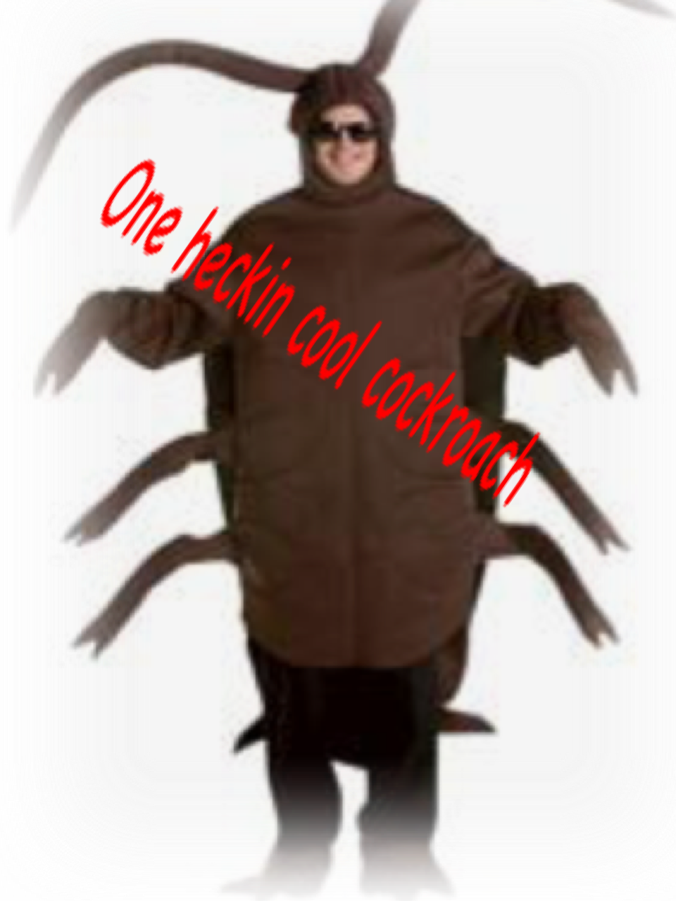 Follow @helloguineapig Quality Memes, Cursed Images, - Cockroach Costume (960x1280), Png Download