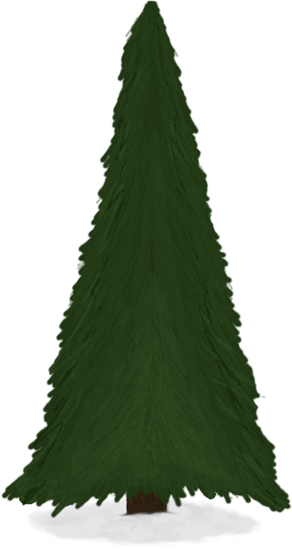 Key Copied To Clipboard - Tree (450x862), Png Download