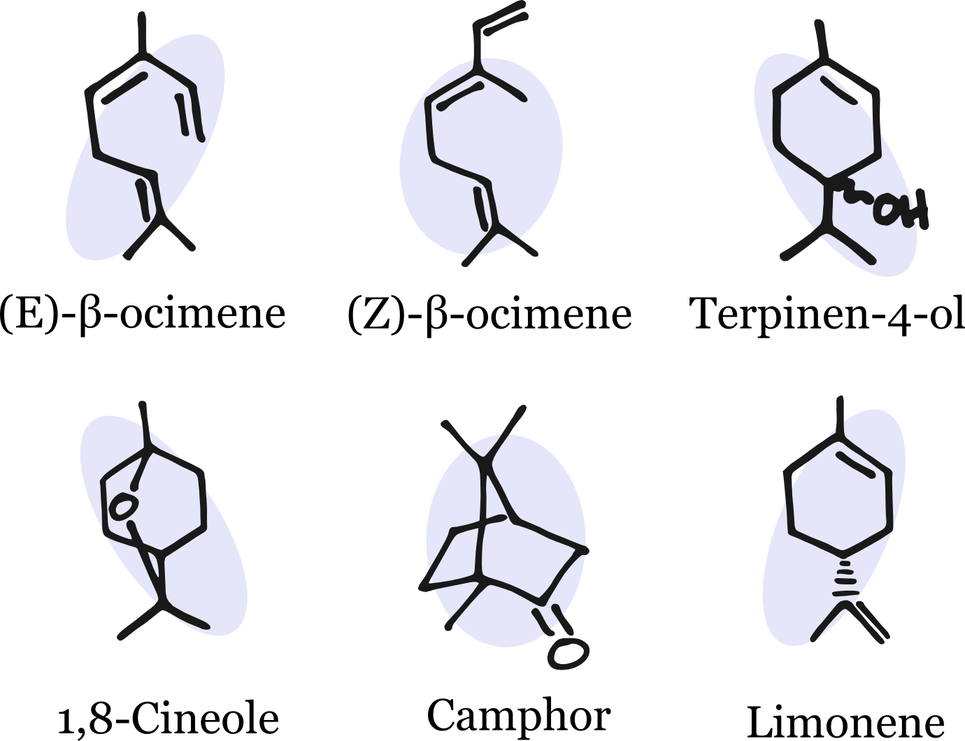 There's Nothing “minor” About These Compounds When - E )- Β Ocimene (1380x1060), Png Download