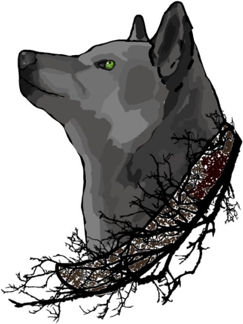 Katara S Oc By Puresavagee-dbagiw6 - Black Norwegian Elkhound (600x750), Png Download