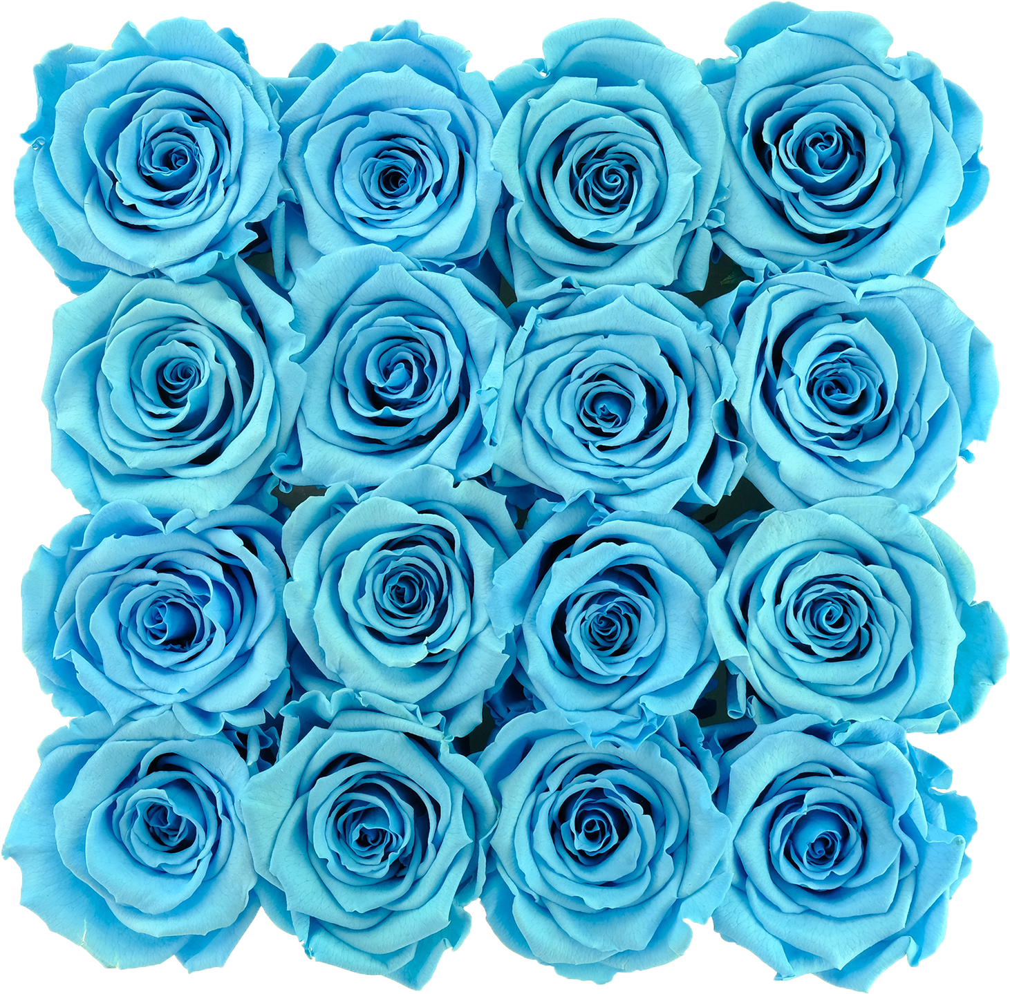 Blue Preserved Roses - Blue Rose (2048x2048), Png Download