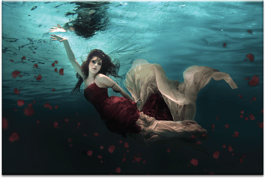 Ocean Of Roses - Latitude Run 'water Roses' Photographic Print On Canvas, (900x900), Png Download