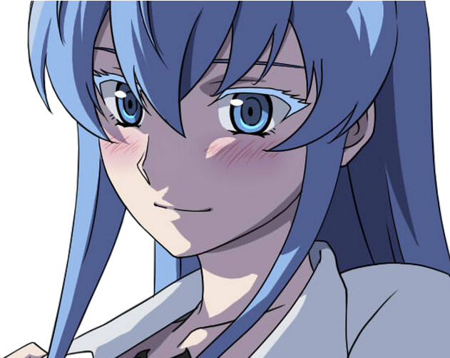 Lien Direct, 2018/02/1/1515403092 Esdeath Amoureuse - Akame Ga Kill! (668x501), Png Download