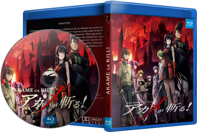 Akame Ga Kill! Dvd Complete Edition (728x479), Png Download
