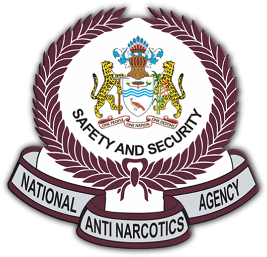 Nana Will Also Facilitate The Implementation Of Modern - Guyana Coat Of Arms Journal (952x614), Png Download