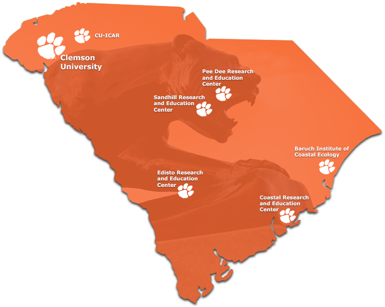 Living In Clemson - Clemson Sc Map (774x616), Png Download