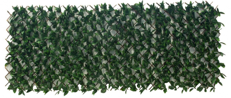 100x200cm Artificial Unreal Plant Walls- Fern - Portable Network Graphics (800x800), Png Download