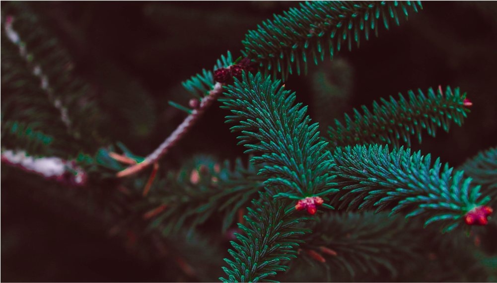 Score 50% (1000x1000), Png Download