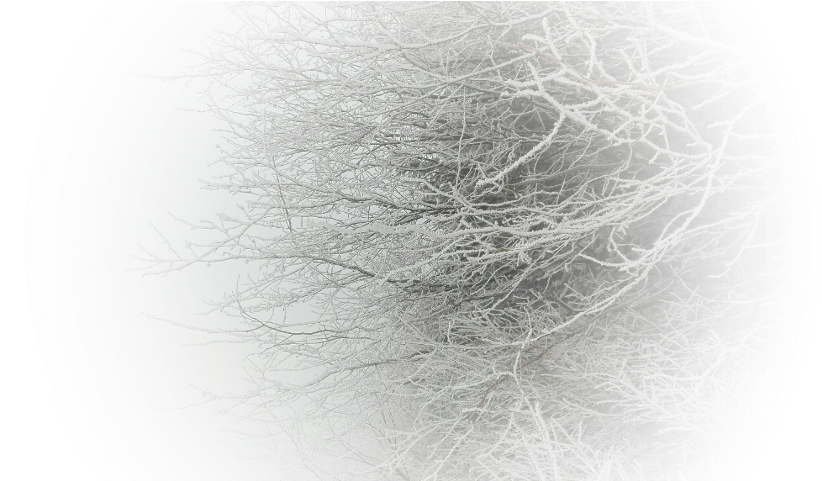 Circle (854x480), Png Download