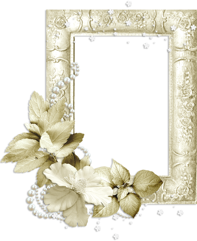 Romantico Elegante Halloween Frames, Christmas Frames, - Floral Design (650x798), Png Download