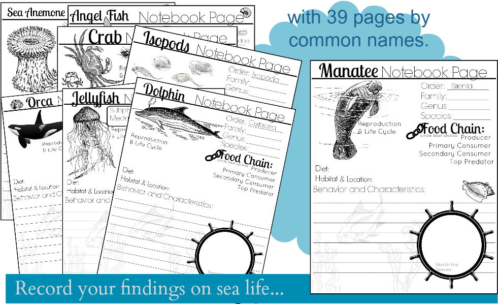 Cartoon (1000x600), Png Download