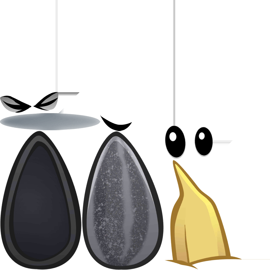 Sunflower Seedfuture - Sunflower Seed (1024x1024), Png Download