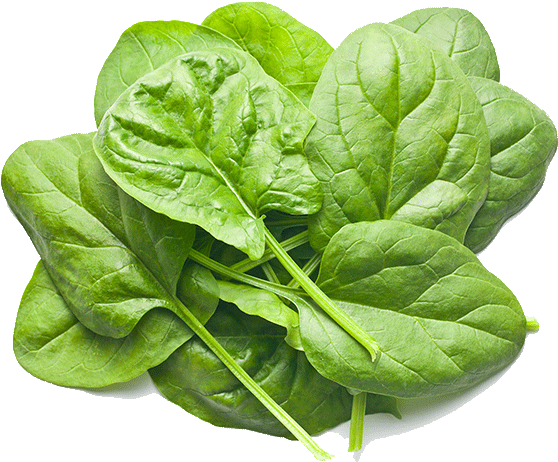 Baby Spinach - Reusable Food Pouch (6 Pack) By Hello Little Monsters (847x1000), Png Download