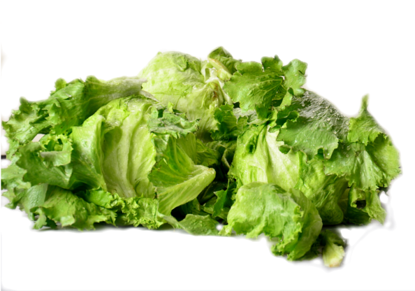 Lettuce - Romaine Lettuce (600x600), Png Download