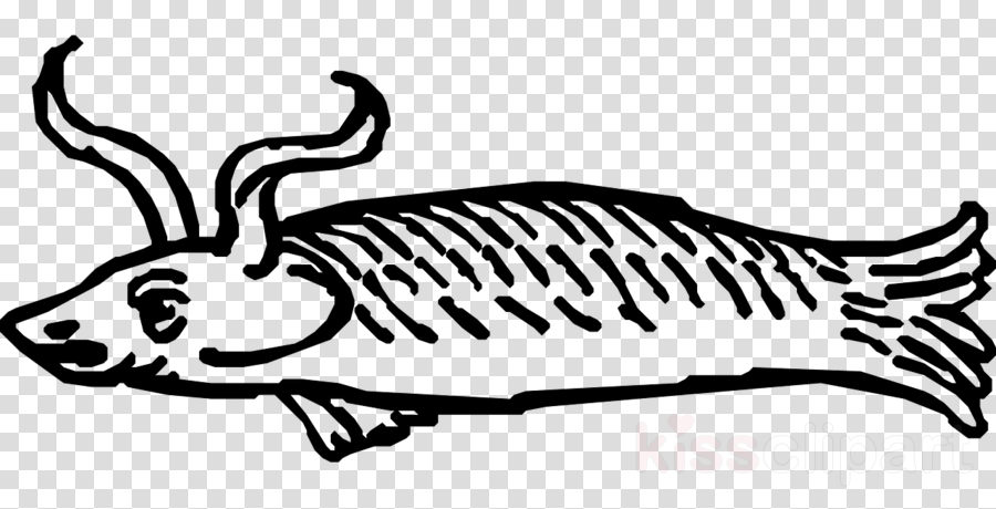 Fish With Horns Clipart Clip Art - Clip Art (900x460), Png Download