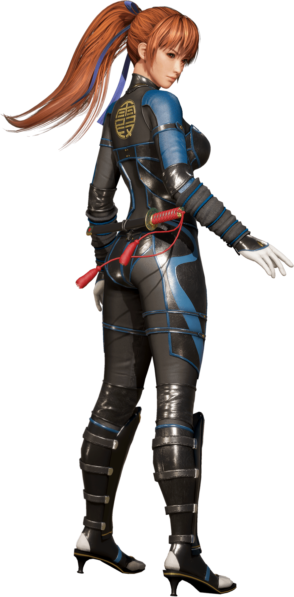 Doa6 Mini Tournament (987x2000), Png Download