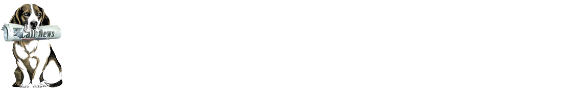 Call News - Wordpress (1200x275), Png Download