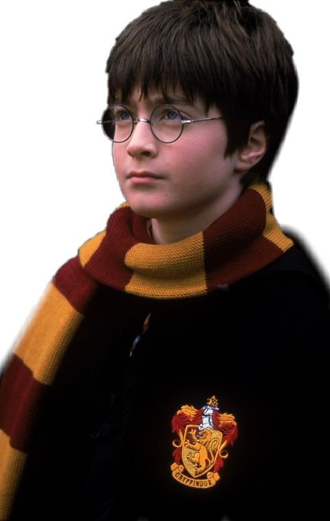 Harry Potter (480x758), Png Download