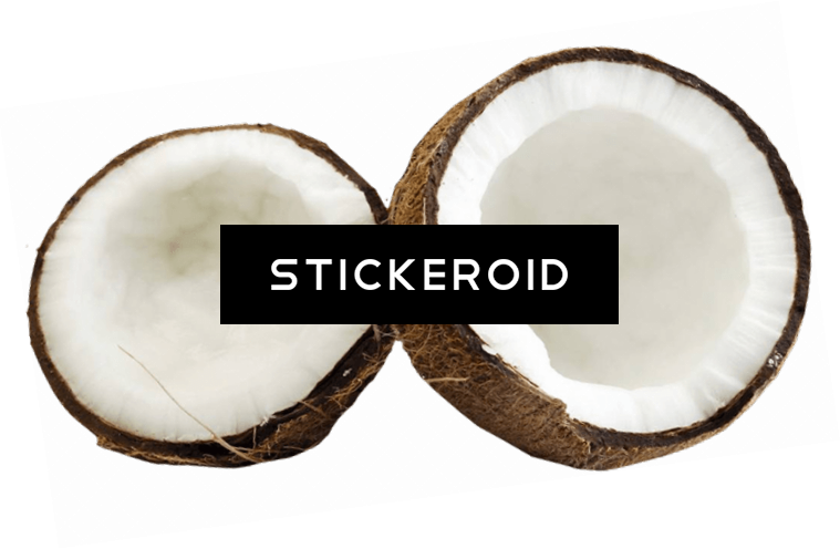 Coconut - Cocos Nucifera (759x496), Png Download