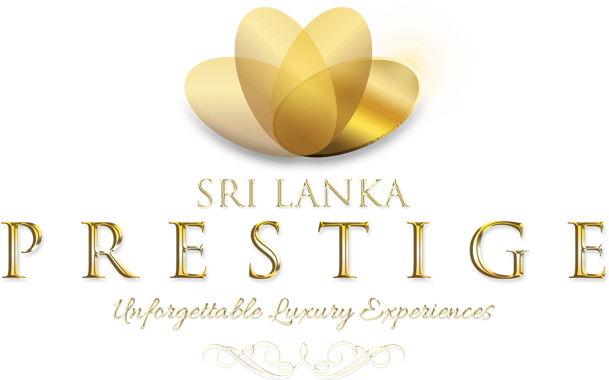 Image Image Image Image - Instagram (2200x760), Png Download