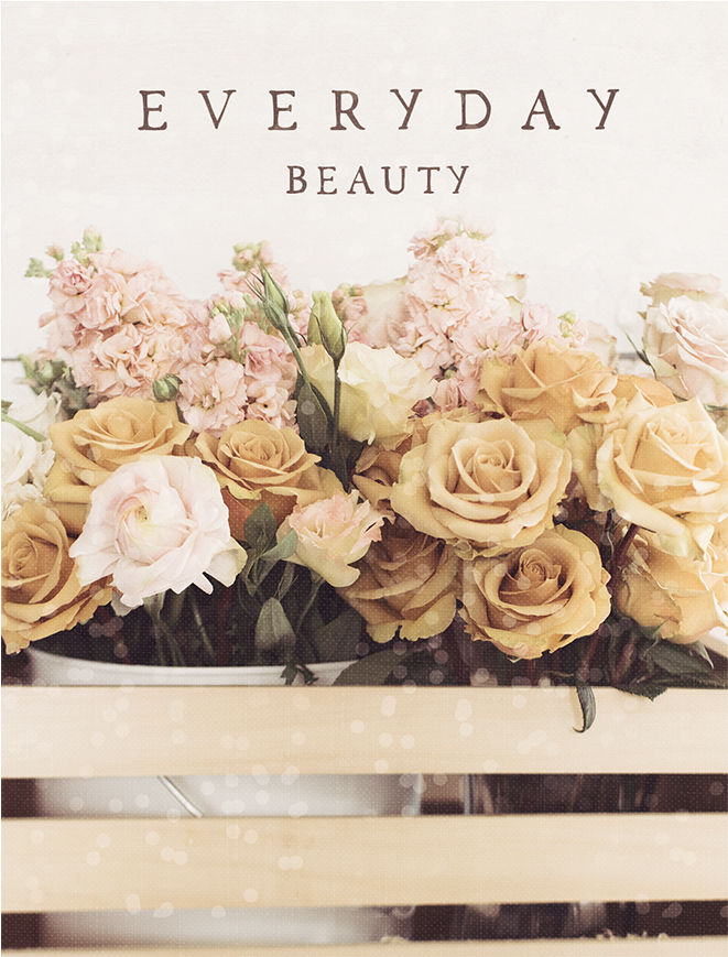 994981 2 - Garden Roses (1000x1000), Png Download