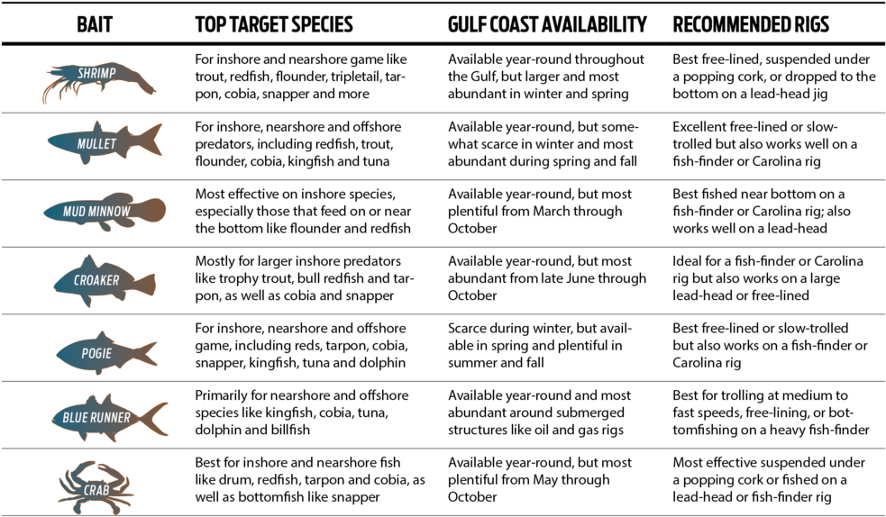 Fishing With Live Bait - Paper (1000x603), Png Download