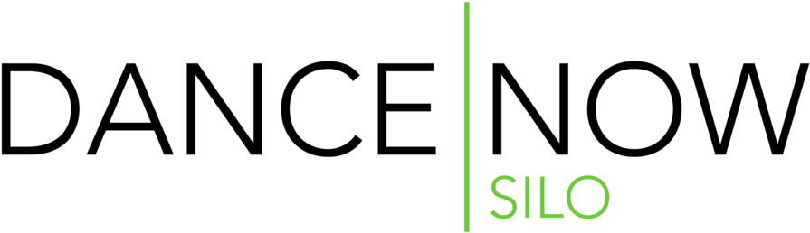 Dancenow Silo (1000x335), Png Download