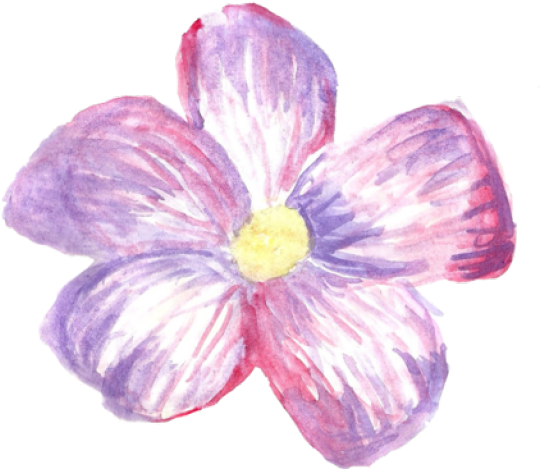 Lilac Clipart Transparent Tumblr - Flowers Tumblr Stickers (640x480), Png Download