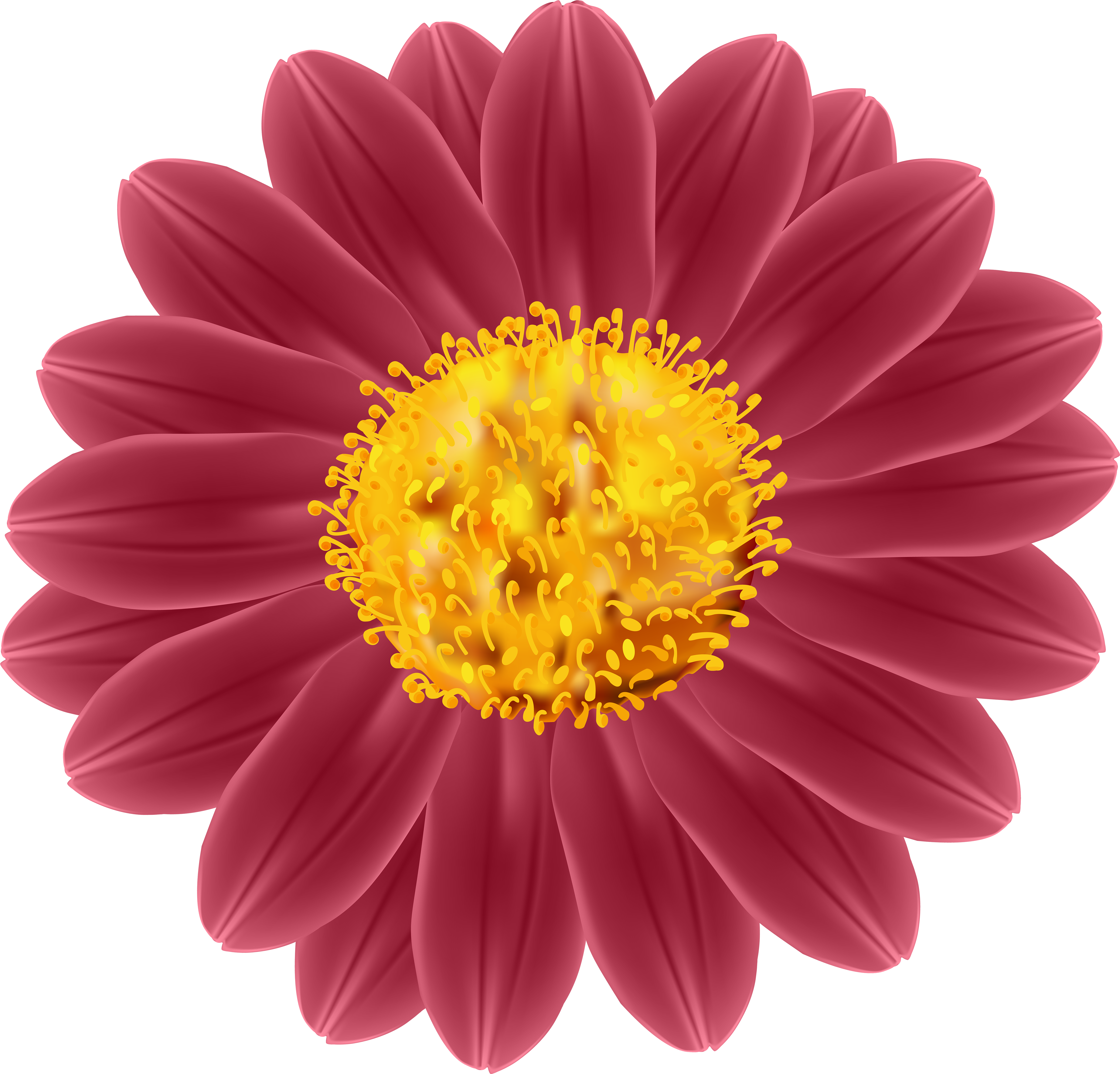 Clip Art (6000x5748), Png Download