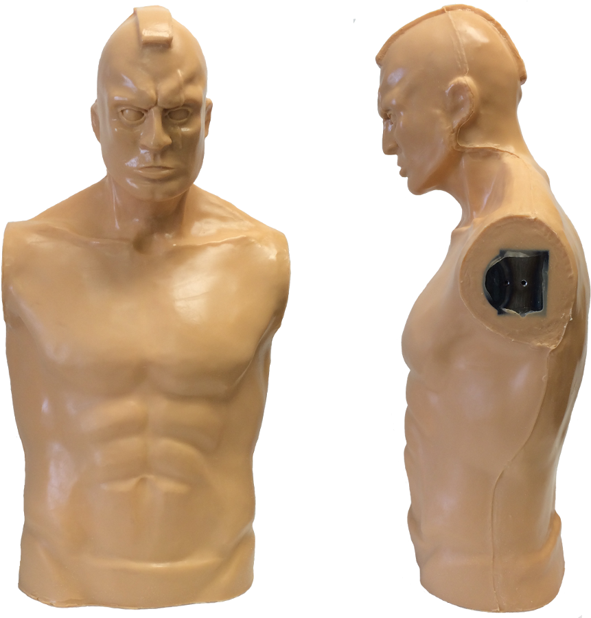 Hawk Torso - Upper Limb (900x900), Png Download