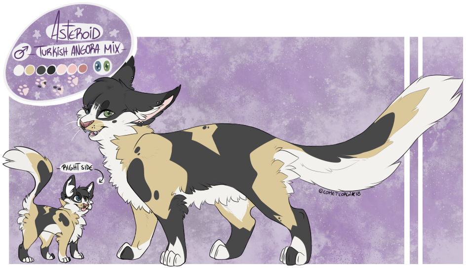 #asteroidcat Hashtag On Twitter - Cartoon (944x542), Png Download