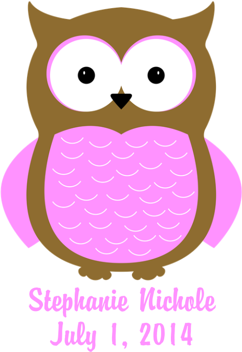 Favorite - Custom Owl (pink) Baby Blanket (700x700), Png Download