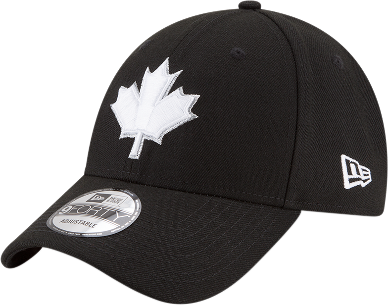 Picture Of Nba Toronto Raptors Silver Leaf 940 Cap - New Era (784x618), Png Download