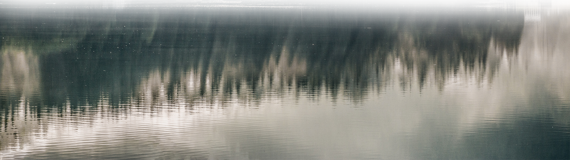 Close - Foggy Forest (2000x561), Png Download