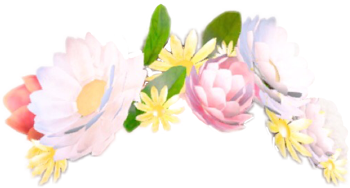 Flower Snapchat Flowercrown Filter Stickerfreetoedit - Flower Crown Snapchat Filter Transparent (504x272), Png Download