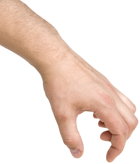 I Want My Honey Mustard Back - Sign Language (492x578), Png Download