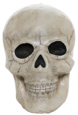 Skull (400x400), Png Download