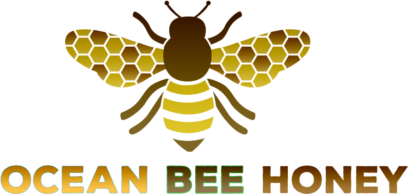 Best Manuka Honey Brand - Transparent Bee Honey Png (1200x783), Png Download