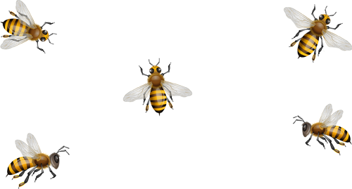 Clip Art Honeycombs Bees (500x269), Png Download