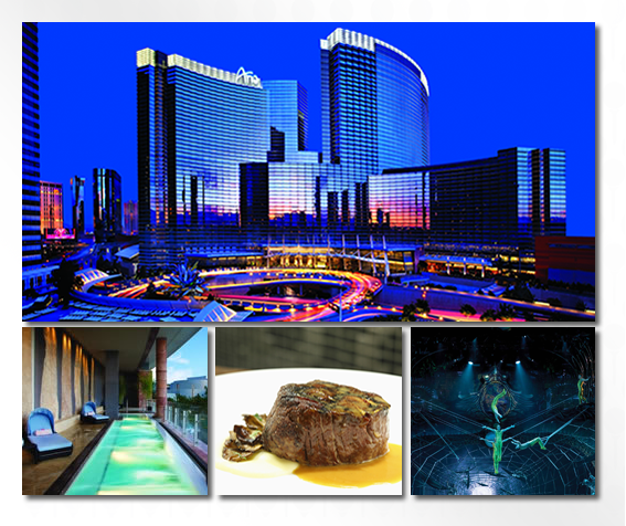 Located In The Heart Of The Las Vegas Strip, Aria Resort - Aria Casino (567x476), Png Download