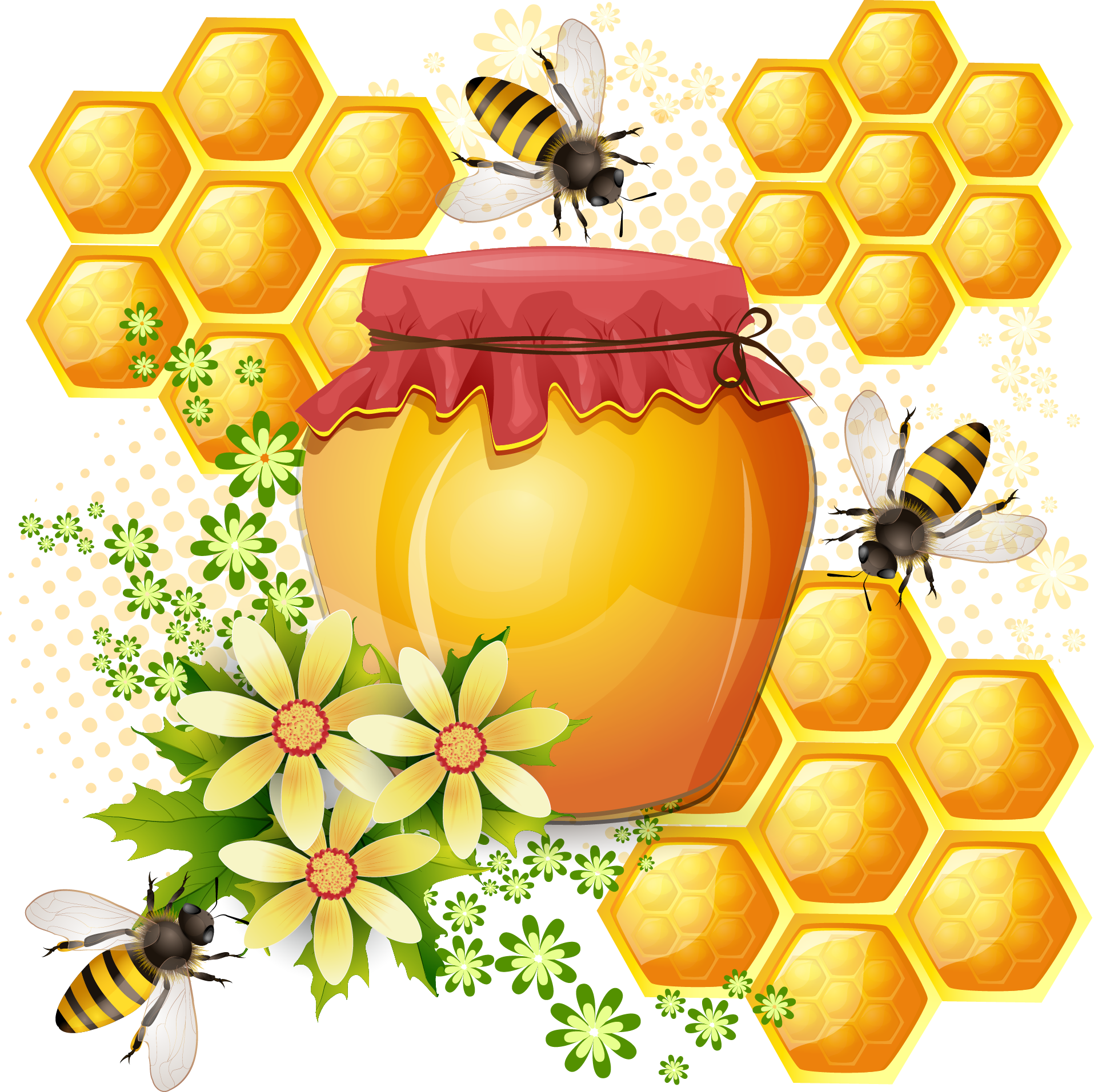 Western Honey Bee Bees And Transprent Png - Flores Abejas Y Miel (1915x1913), Png Download