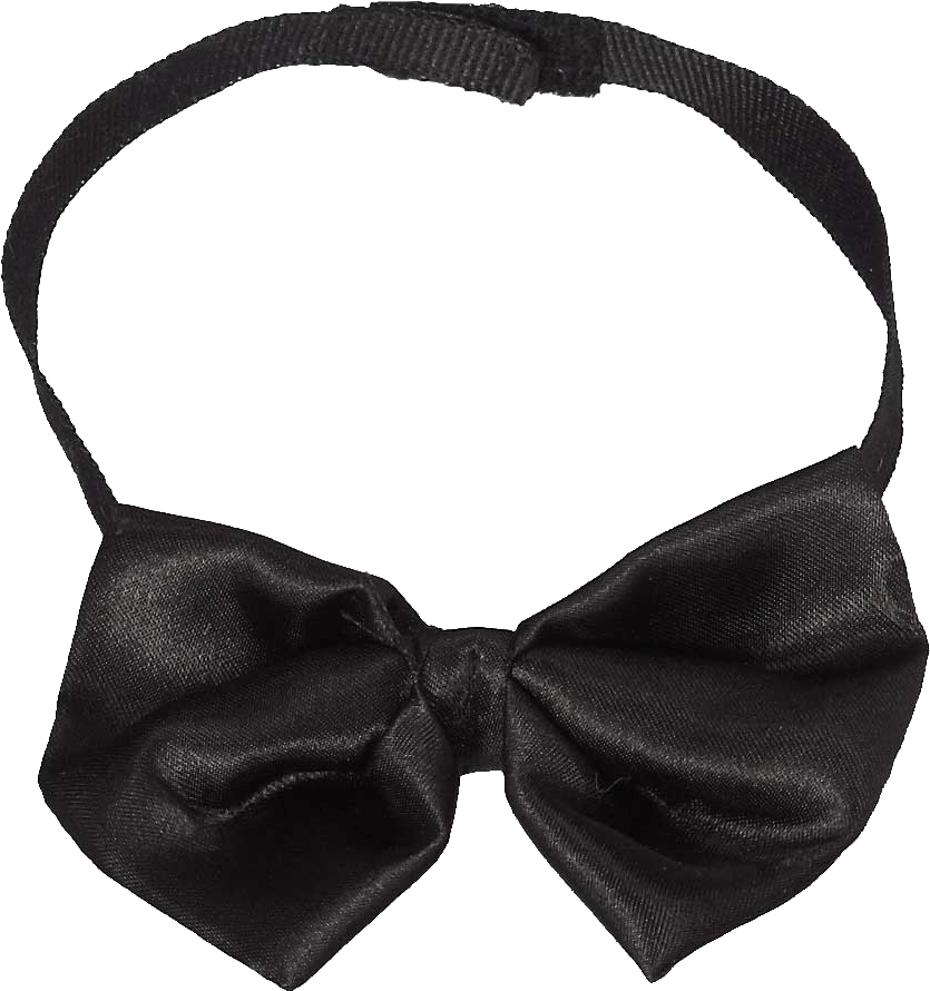 Whatzupwiththat - Fashion Accessory (1000x1000), Png Download