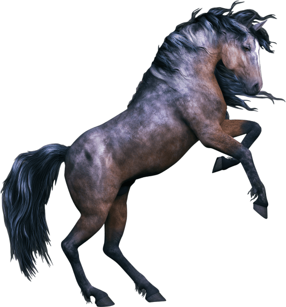 Download Horses Fathead Fathead Horse Peel And Stick Wall Decal PNG