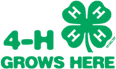4 H Clover (555x278), Png Download