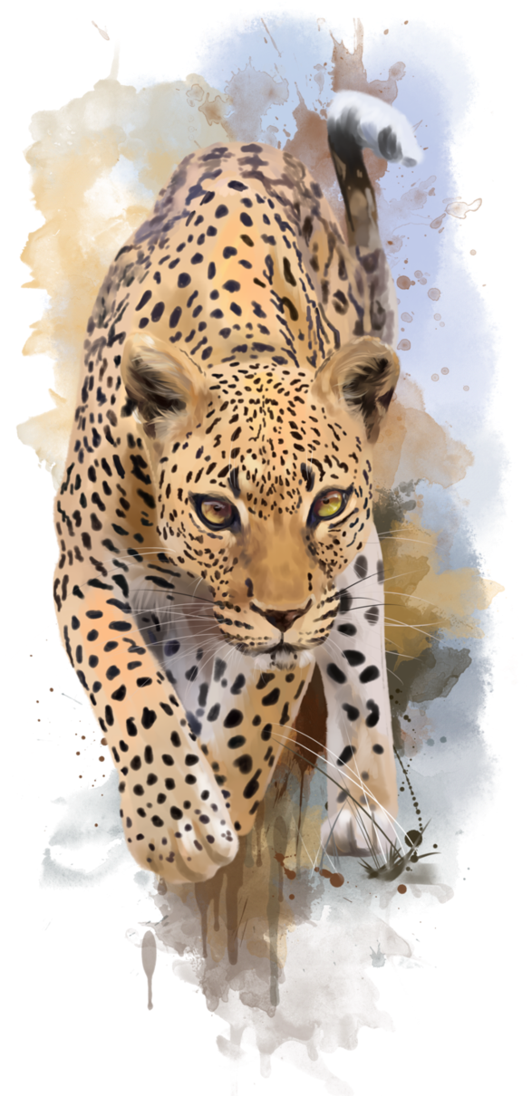 Leopard By Kajenna - Leopard (656x1216), Png Download