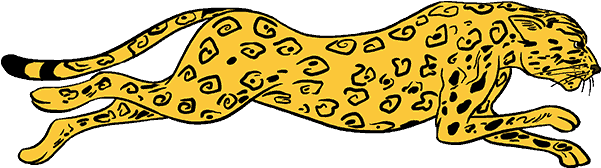 Free Download Cheetah Drawing Clipart Cheetah Felidae - Cheetah (678x600), Png Download