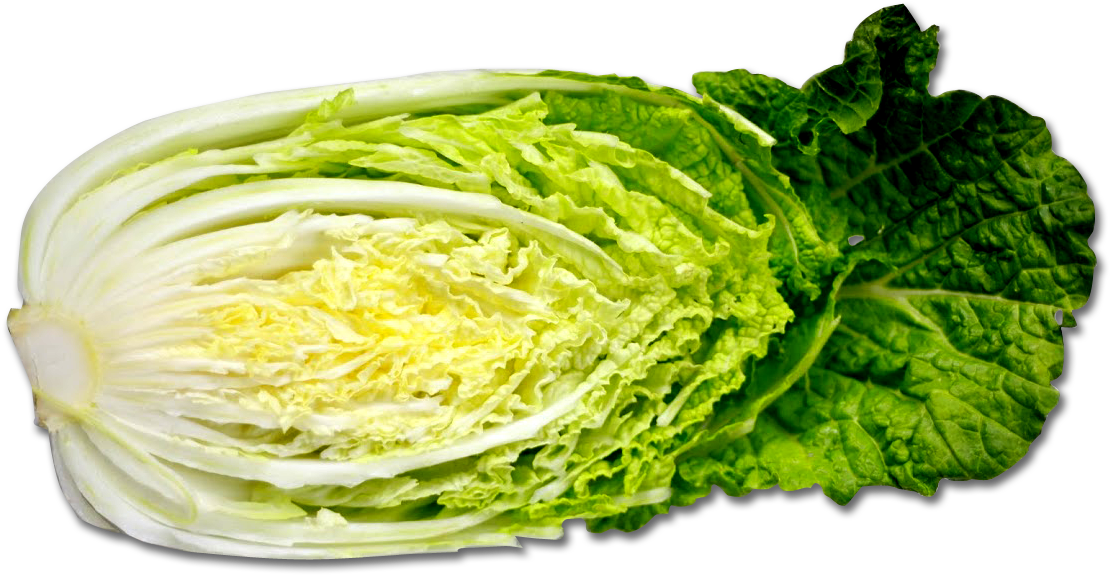 Fox Transparent Png Sticker - Cabbage (1152x768), Png Download